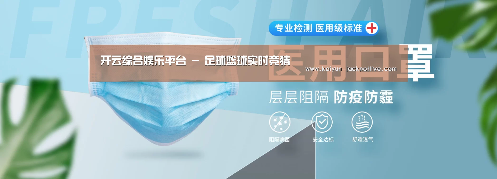 某某口罩防护用品有限公司