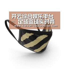 成人布口罩