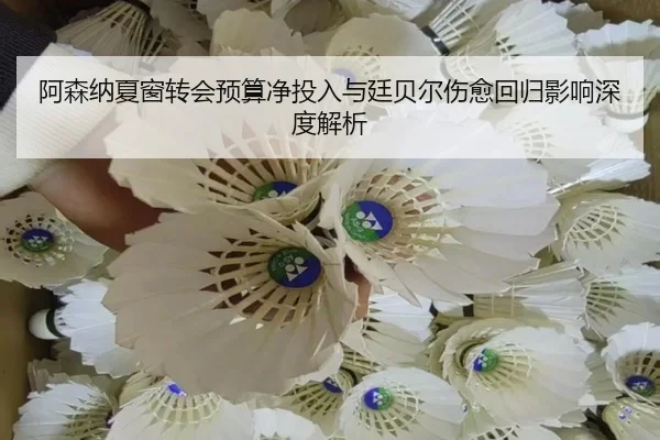 a-sen-na-xia-chuang-zhuan-hui-yu-suan-jing-tou-ru-yu-ting-bei-er-shang-yu-hui-gui-ying-xiang-shen-du-jie-xi-2-326.jpg