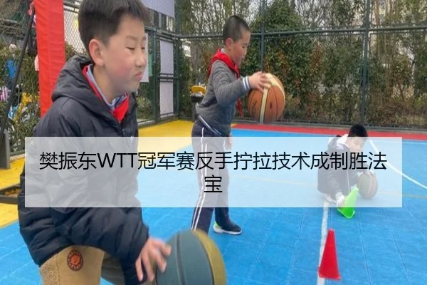 樊振东WTT冠军赛反手拧拉技术成制胜法宝