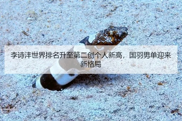 李诗沣世界排名升至第二创个人新高，国羽男单迎来新格局